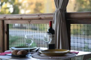 repas-terrasse-vin