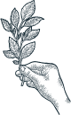 main-avec-feuille-illustration