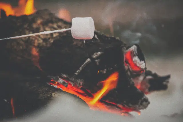 Camping Gers, Whakalodge, guimauve grillée, feu de bois