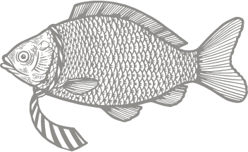 illustration-poisson-avec-une-cravate