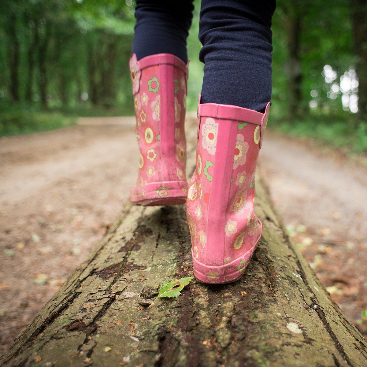 Camping Gers, Whakalodge, enfant, promenade dans les bois