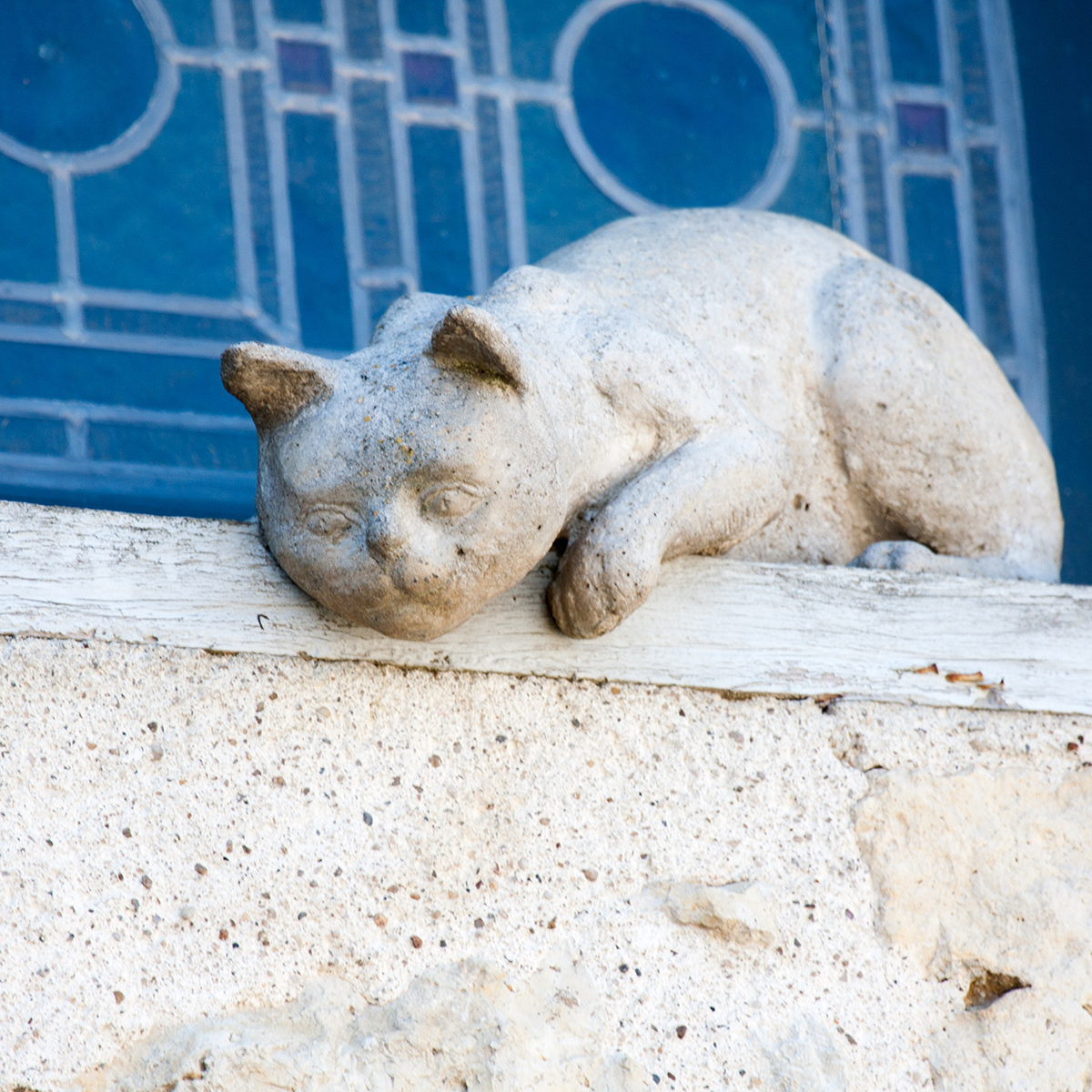 Camping Gers, Whakalodge, La Romieu, Angeline et ses chats © Shutterstock