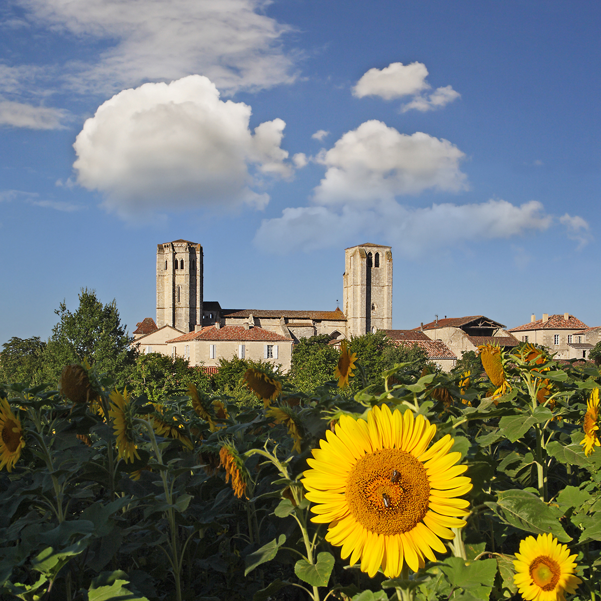 Camping Gers, Whakalodge, La Romieu, Collégiale Saint Pierre, Route de Saint Jacque de Compostelle © Shutterstock