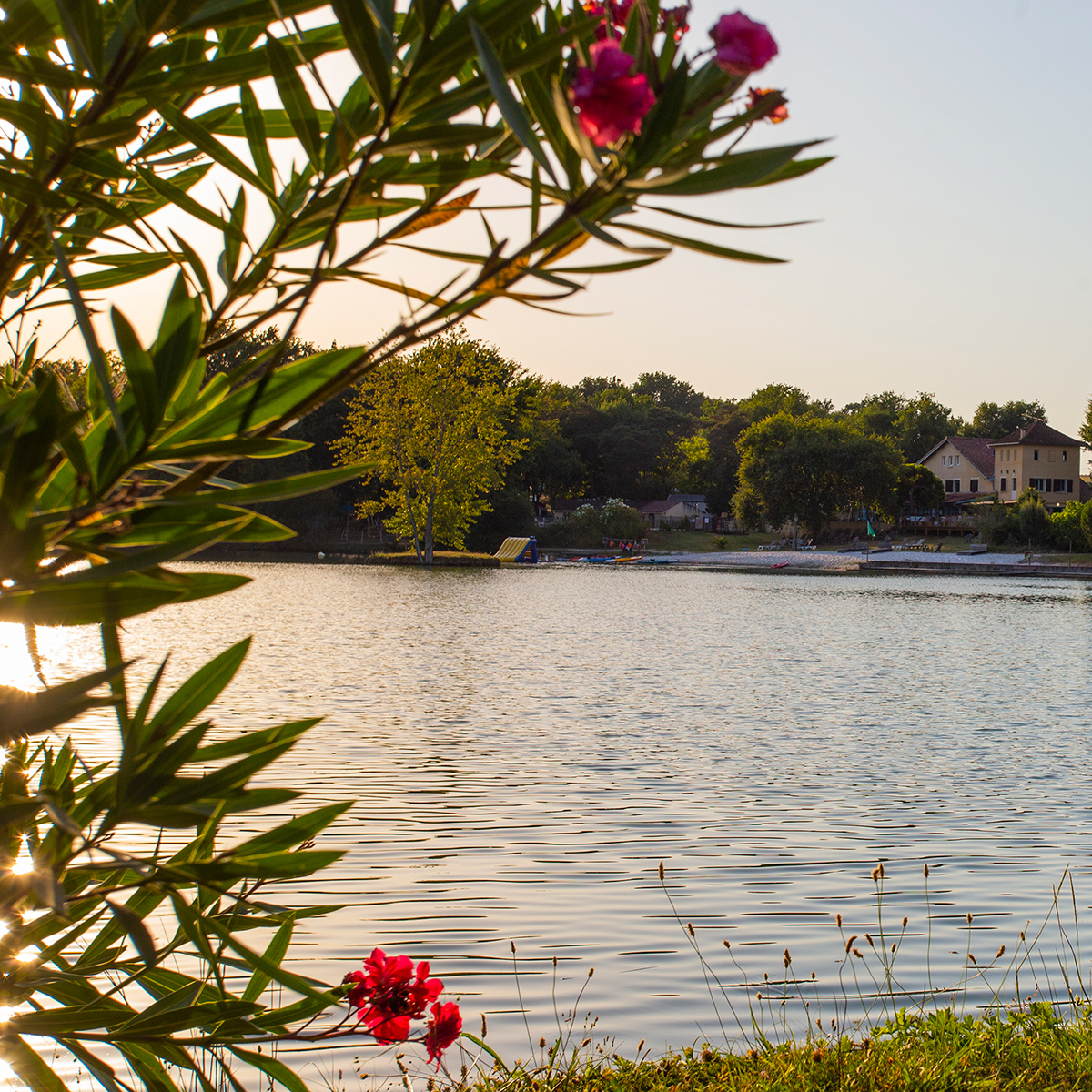 Camping Gers, Whakalodge, vue du domaine, vue sur le lac