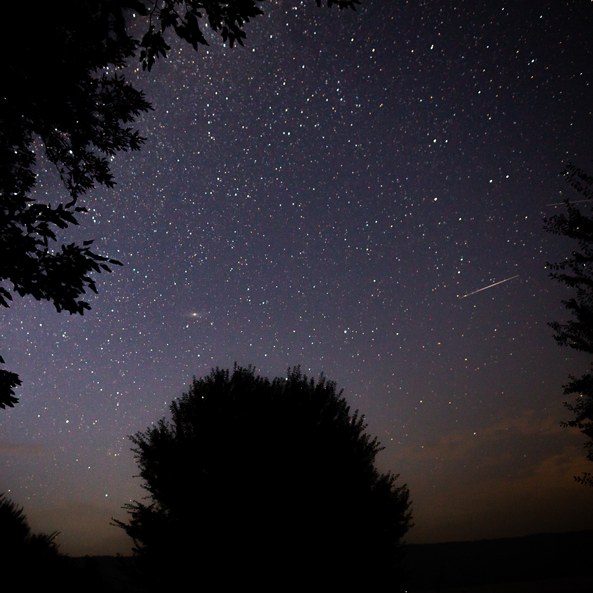 Camping Gers, Whakalodge, locatif insolite, Bulle d\'amour, vue du ciel étoilé