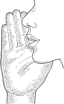 murmure-oreille-illustration