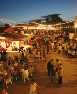 Camping Gers, Whakalodge, 15&egrave;me &eacute;dition Festival Tempo Latino de Vic-Fezensac &copy; Collection Tourisme Gers/CDT32/Barthe Pierre