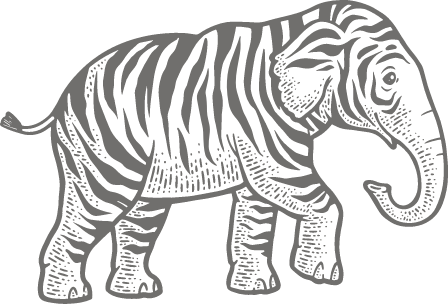 elephant-zebre-grand-format