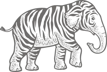 elephant-zebre-grand-format