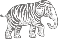 elephant-zebre