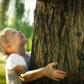 enfant-calin-arbre