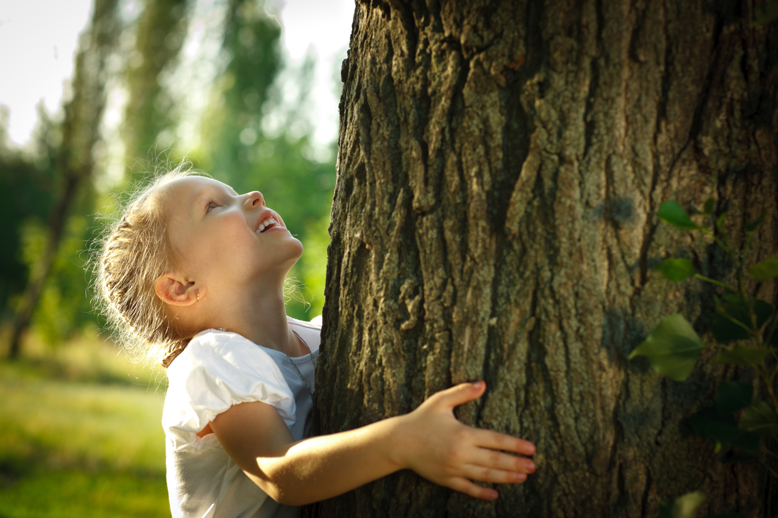 enfant-calin-arbre