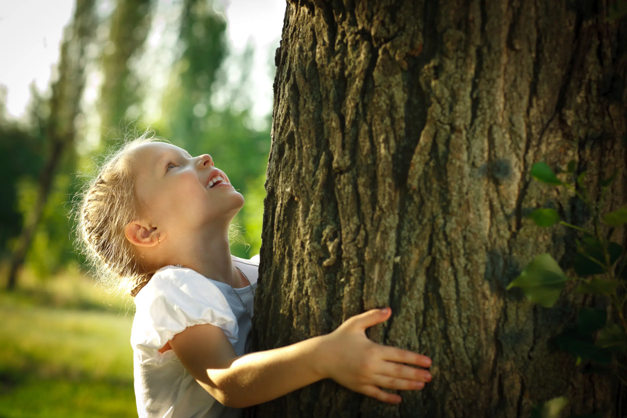 enfant-calin-arbre
