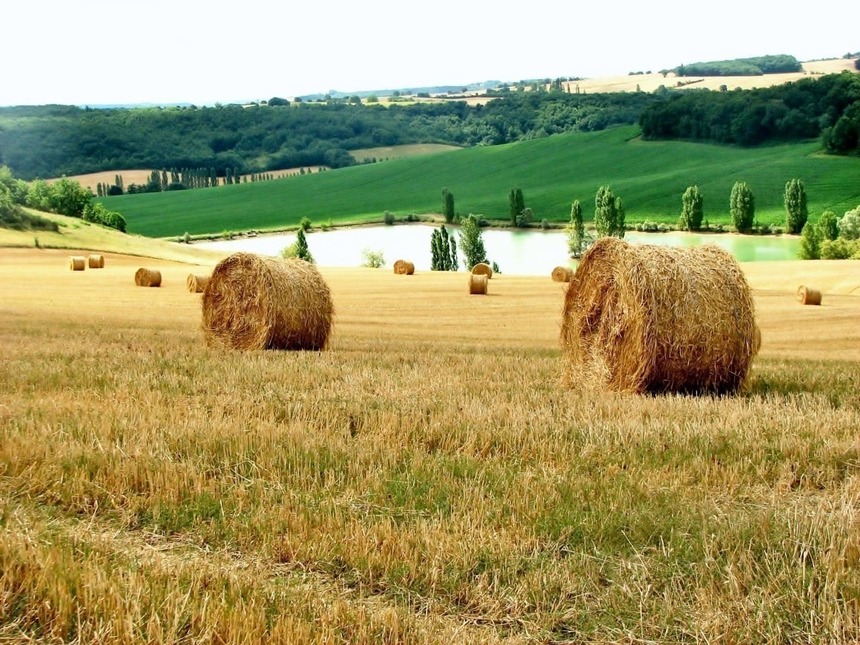 gascogne-gers